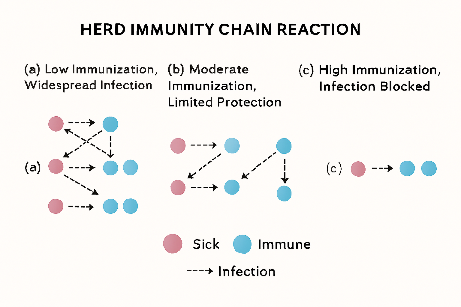 Diagram showing three scenarios: a) low immunization leading to widespread infection, b) moderate immunization with limited protection, and c) high immunization resulting in few infections due to blocked transmission,Herd immunity.